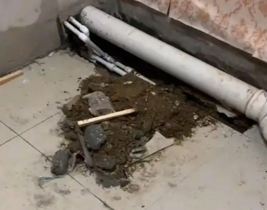 枣庄卫生间漏水检测哪家好